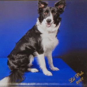 Meet your Posher, Harriet